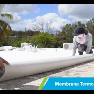 Membrana (Sellado De Techumbre